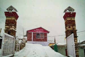 Himalayan Saro Resort Badrinath